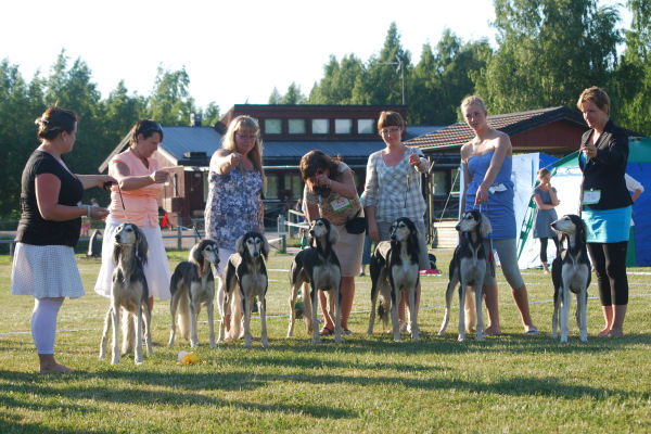 130608 03 finland