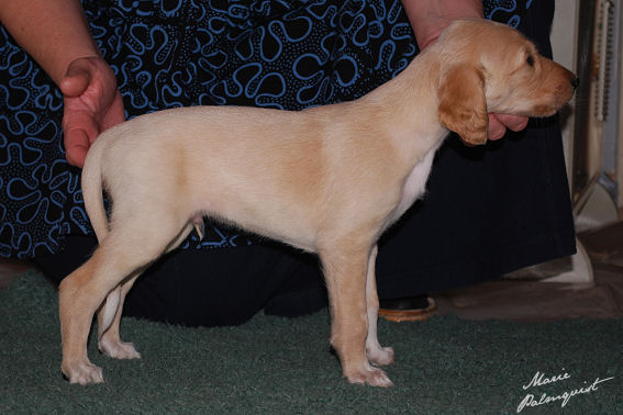 male 02 02