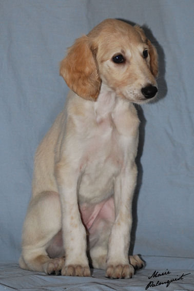 male 01 01