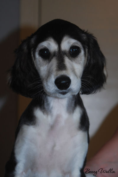 girl 04 01