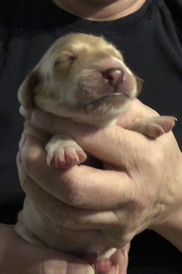 Boy 1