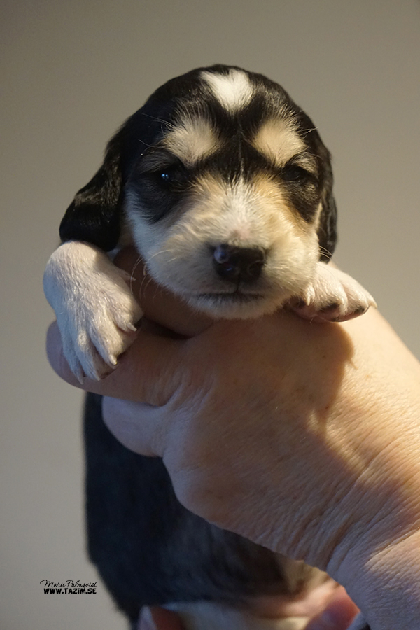 Boy 1