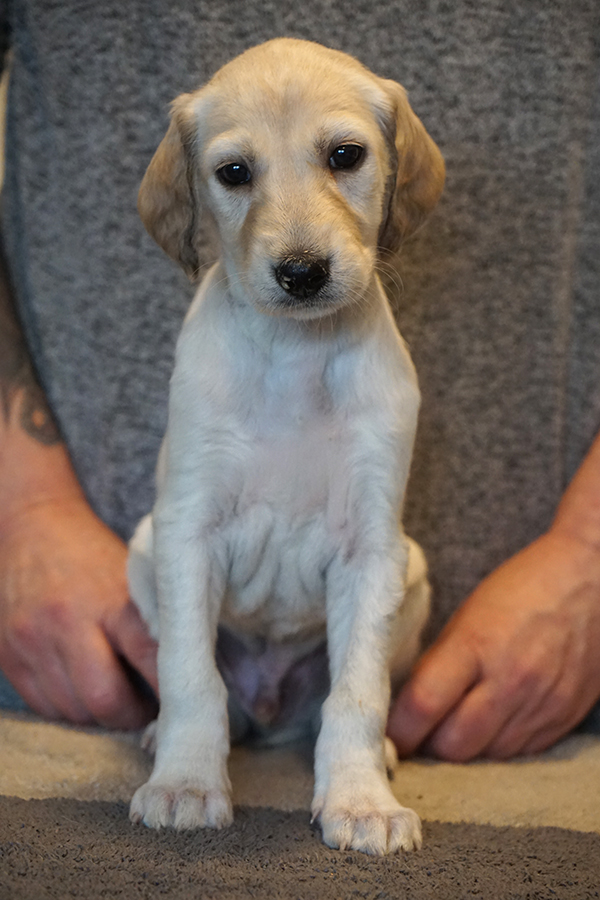 Boy 2